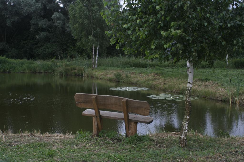 Rozajny Wielkie Stajnia Sarnowek Nad Jeziorem Rozany B&B 외부 사진