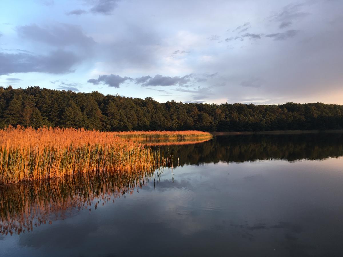 Stajnia Sarnowek Nad Jeziorem Rozany Rozajny Wielkie 외부 사진